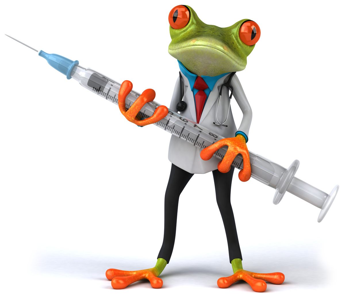 Paging Doctor Kermit A Frog May Hold Key To Universal Flu Vaccine