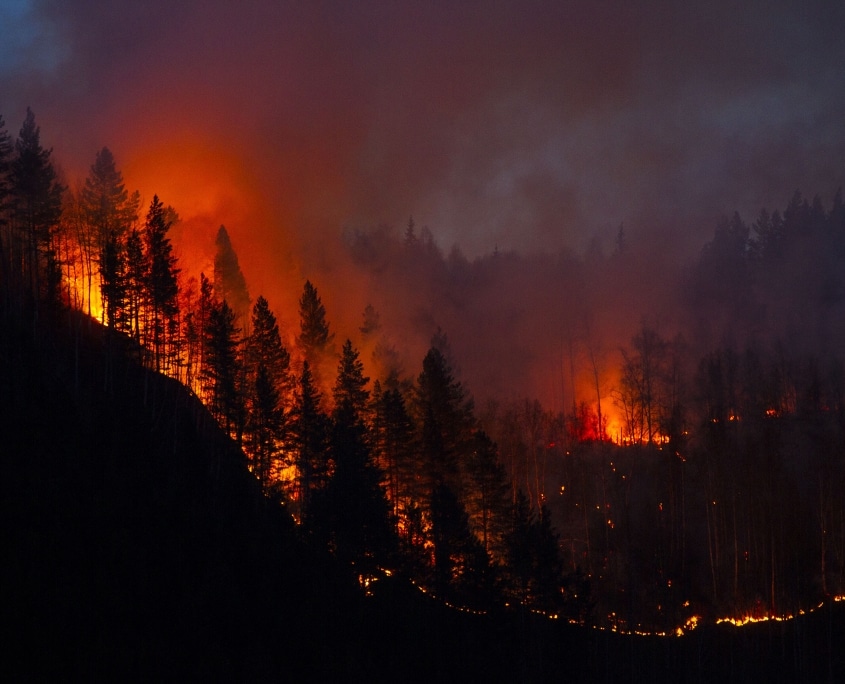 In Harm’s Way: Nurses Fight Back Against California Wildfires