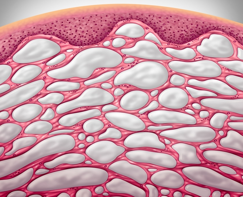 “New” Organ Could Mean Faster Detection of Cancer