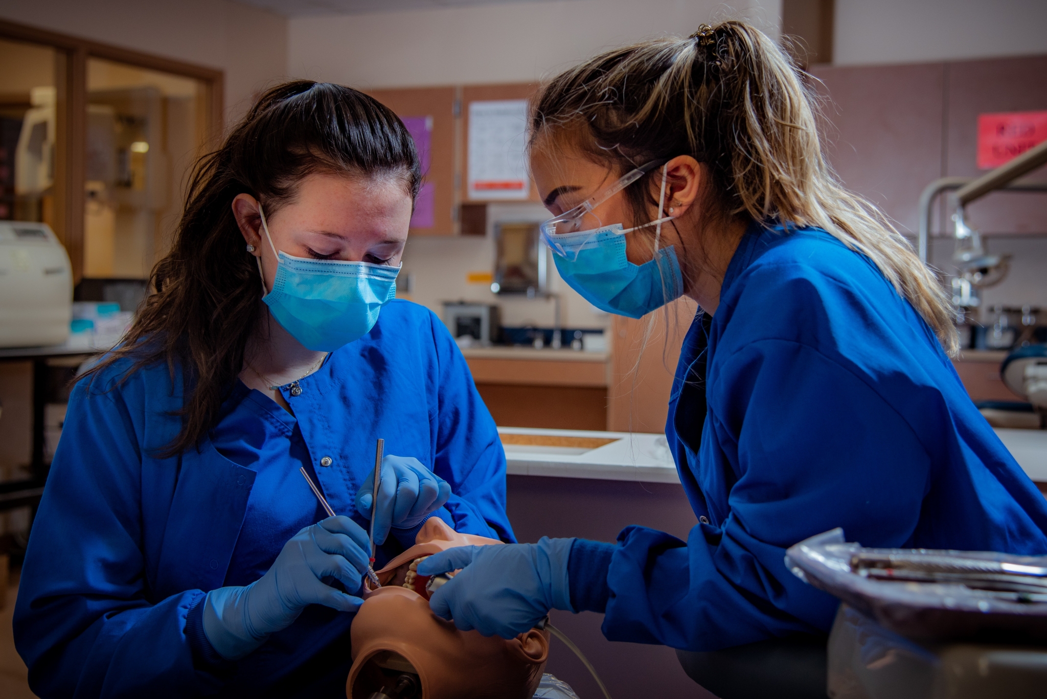 Dental Assisting students practicing on a mannequin