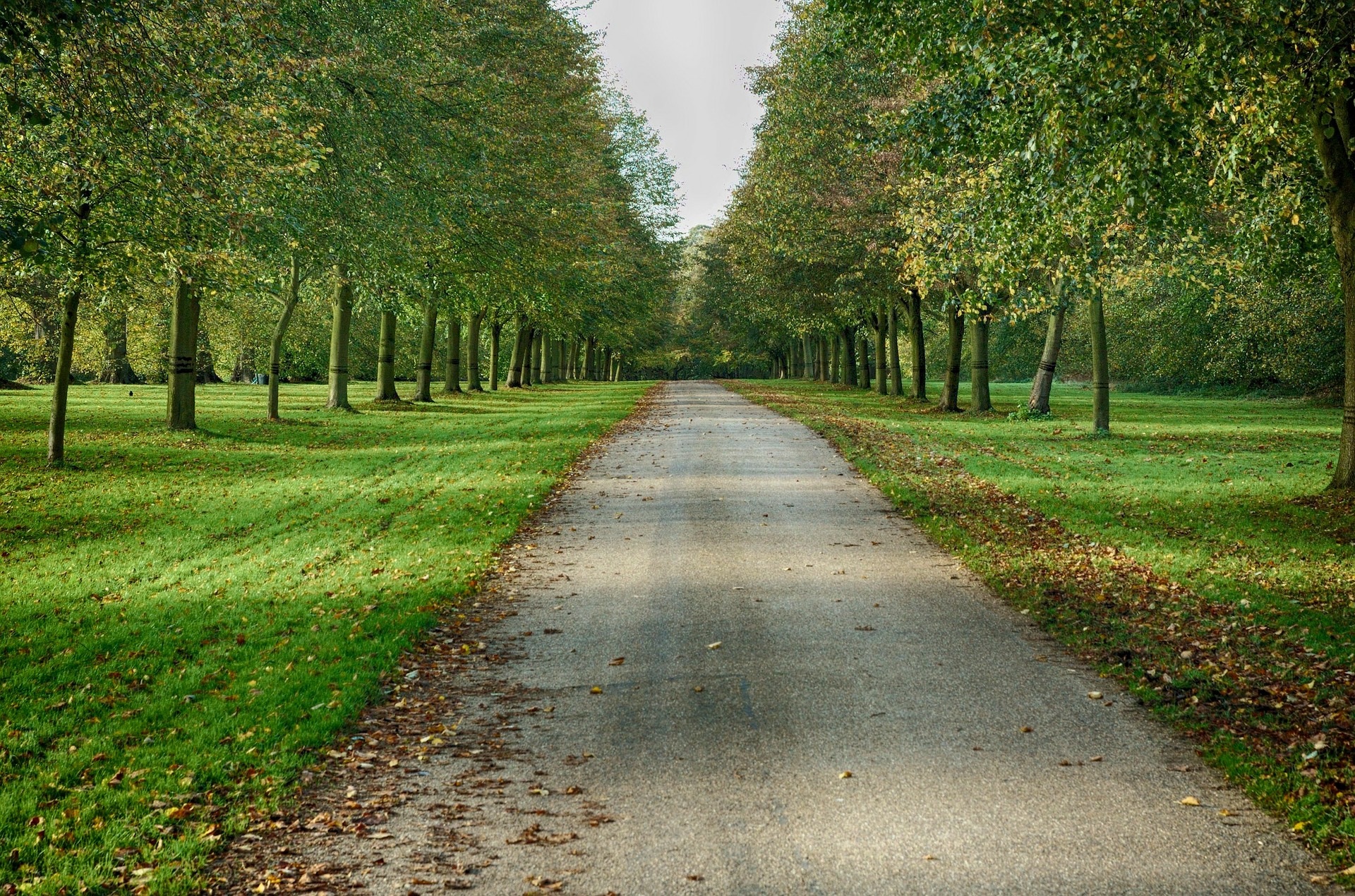 Trail in Modesto, California