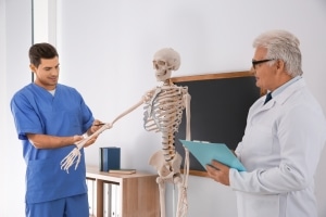 Profesionales médicos estudiando anatomía en un aula.